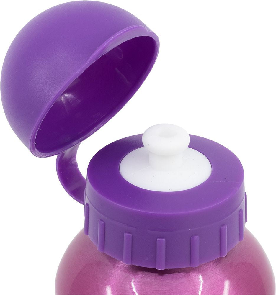 Borraccia per bambine in alluminio Principesse 530 ml