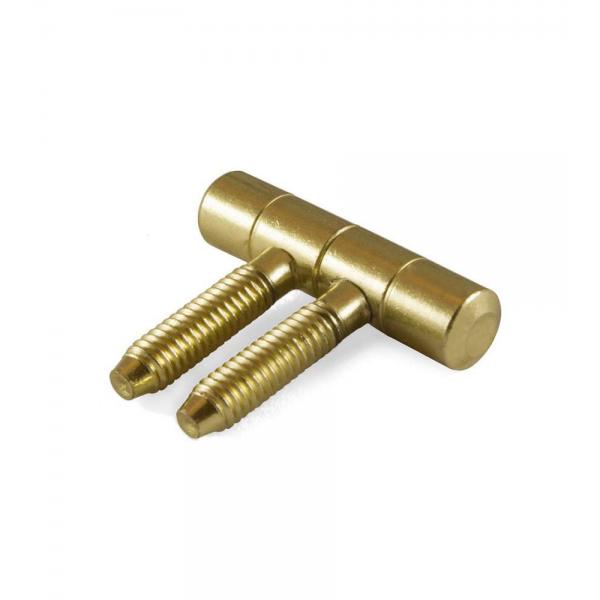 Cerniere per infissi "Anuba" in ferro ottonato 14 mm. 2 pz.