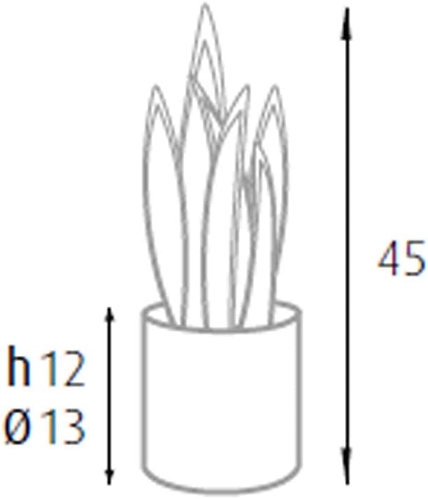 King Home pianta SANSEVIERIA H. 45 cm 12 FOGLIE completa di vaso con muschio