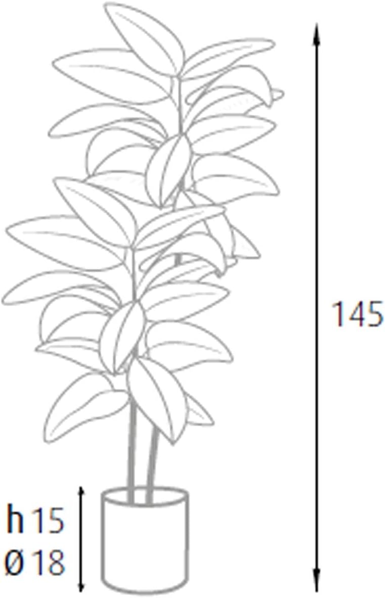 King Home pianta FICUS ELASTICA H. 145 cm 54 FOGLIE completa di vaso con muschio