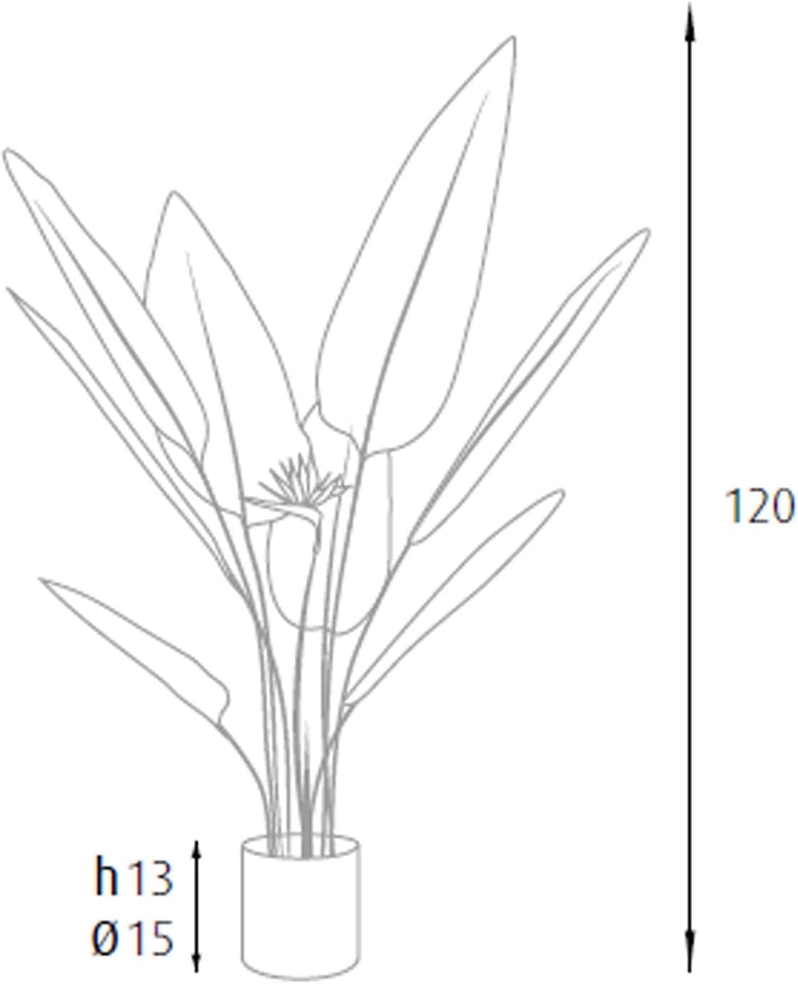 King Home pianta STRELITZIA H. 120 cm 12 FOGLIE + 2 FIORI completa di vaso con muschio