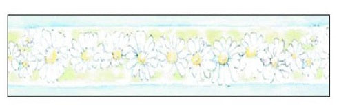 PLASTICA ADES.BORDO MARGHERITE ROTOLO MT10X5,3CM