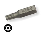 MUNDIAL INSERTO TORX C/FORO TX 7X25