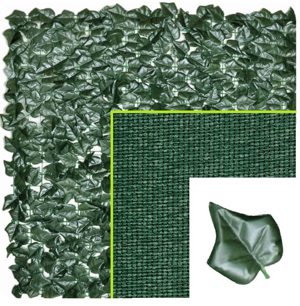 SIEPE ORNAMENTALE EDERA MT. 3X1,5 H C/OMBREGGIANTE