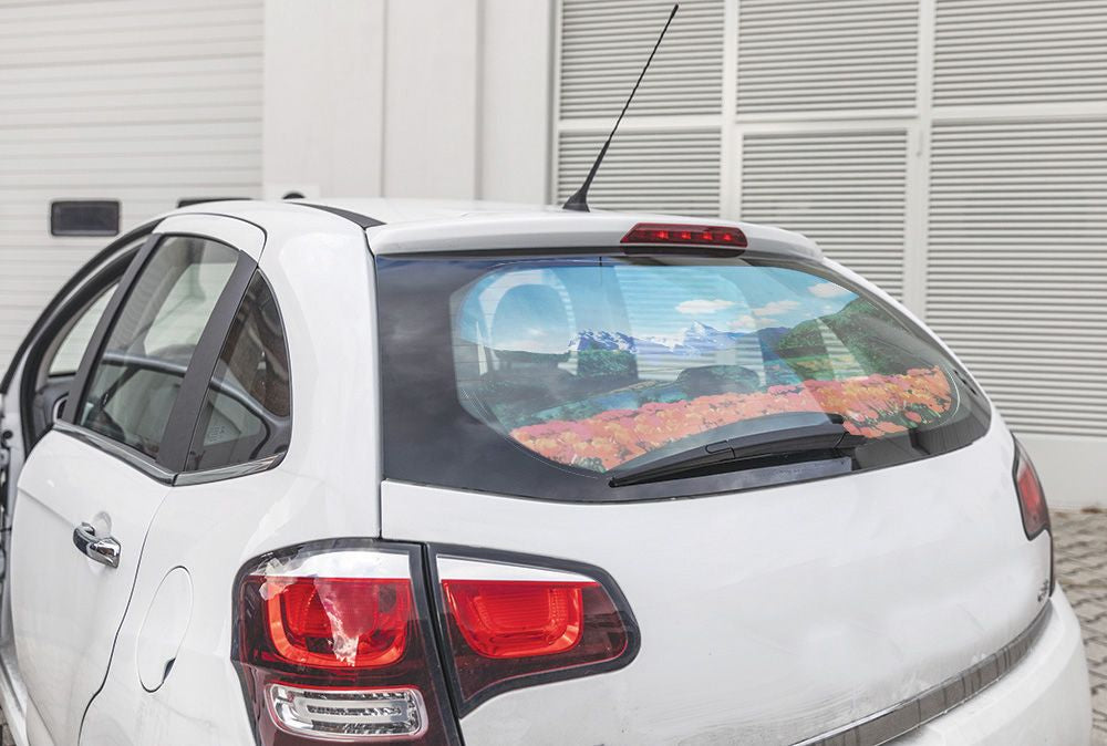 START Tendina Posteriore auto 50x100 cm richiudibile con grafica