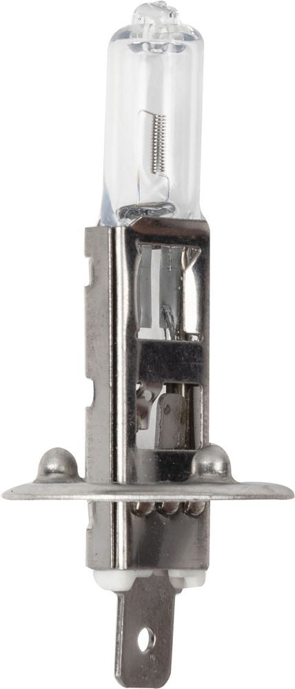 QUANTUM ENERGY Magneti Marelli H1 lampadina Alogena singola auto 12V 55W