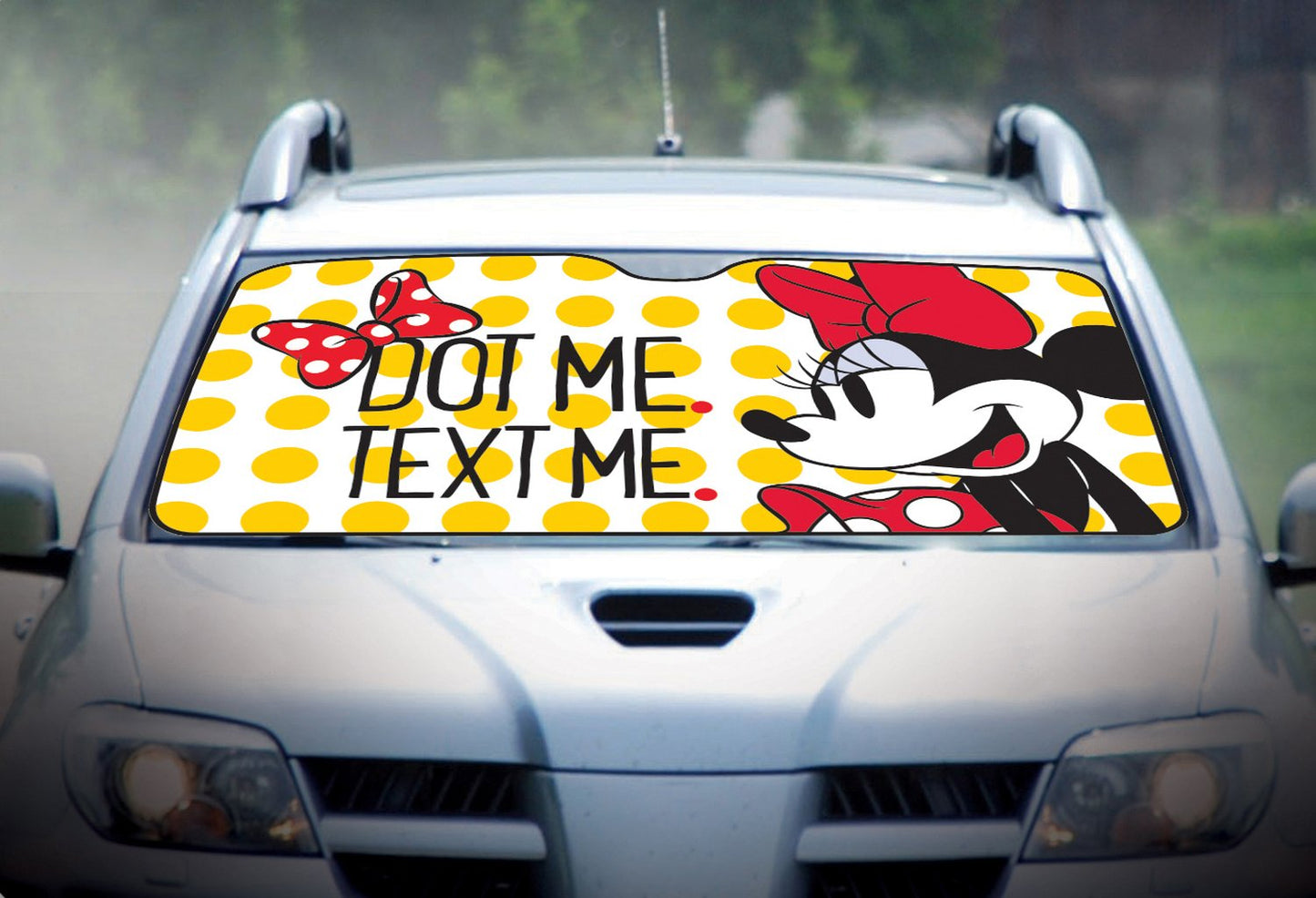 TATAWAY Disney parasole anteriore parabrezza auto SUV 150x80 cm Minnie ?