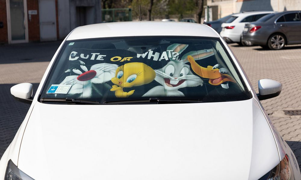Parasole auto Looney Tunes 130x70  Bambini Bugs Bunny