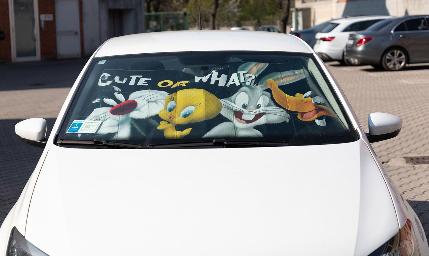 TATAWAY Parasole anteriore auto Looney Tunes 130x70 cm ? Protezione solare