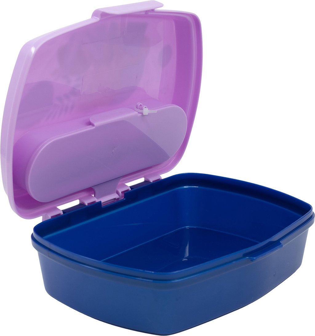 Tataway Funny Frozen Sandwich Box con Posate per Bambini