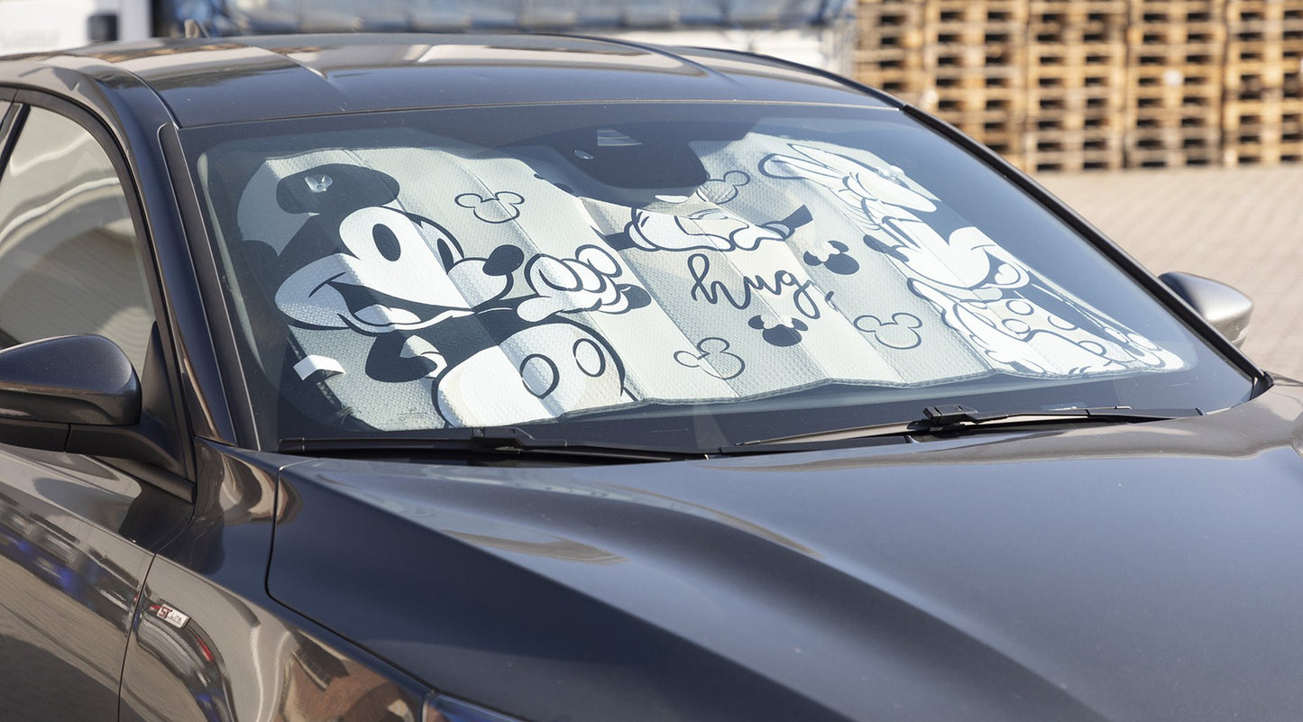 TATAWAY Disney Parasole anteriore auto Mickey Mouse 130x70 cm ? Protezione