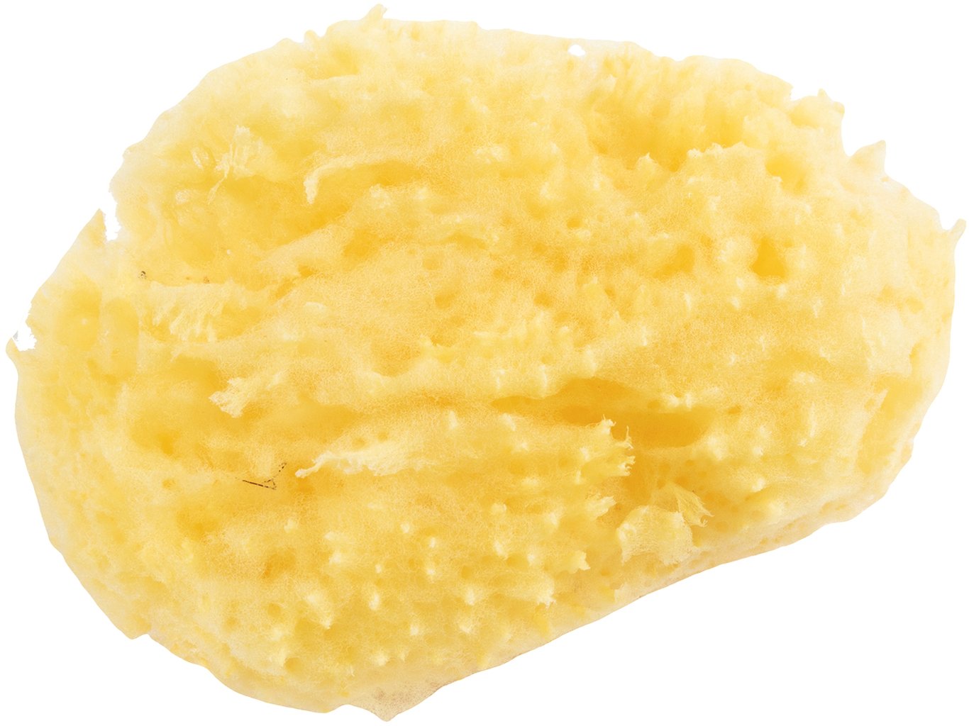 POUPY Spugna per Bagnetto morbida e delicata, che assorbe le impurit?