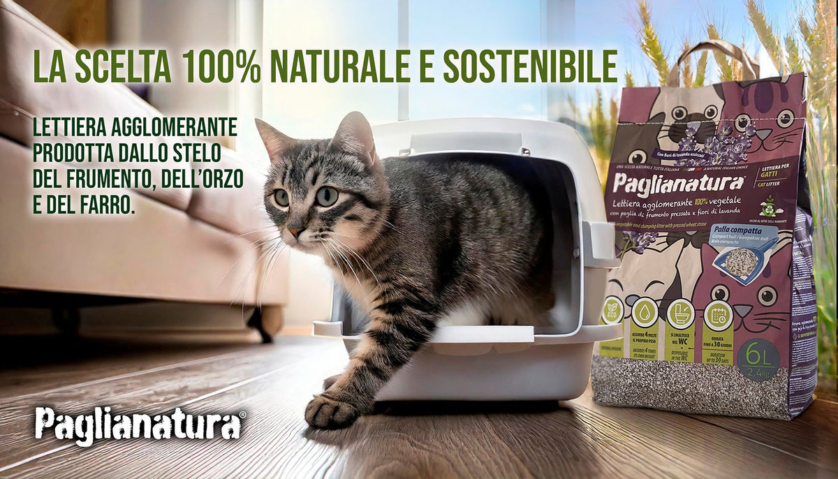 PAGLIANATURA Lettiere per Gatti Naturale Agglomerante 2 4 KG 6 LT Alta