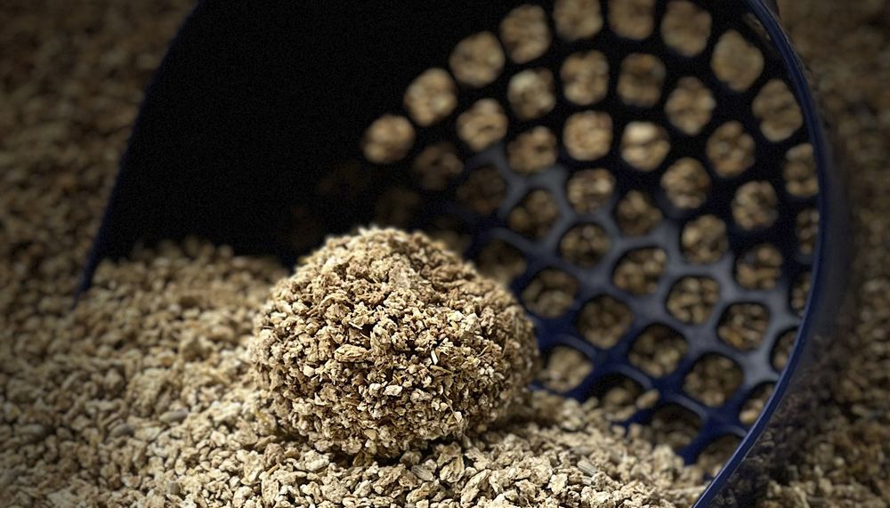 Paglianatura Lettiera Gatti Camomilla Agglomerante 2,4 KG/6 LT - Naturale, Profumata, Controllo Odori