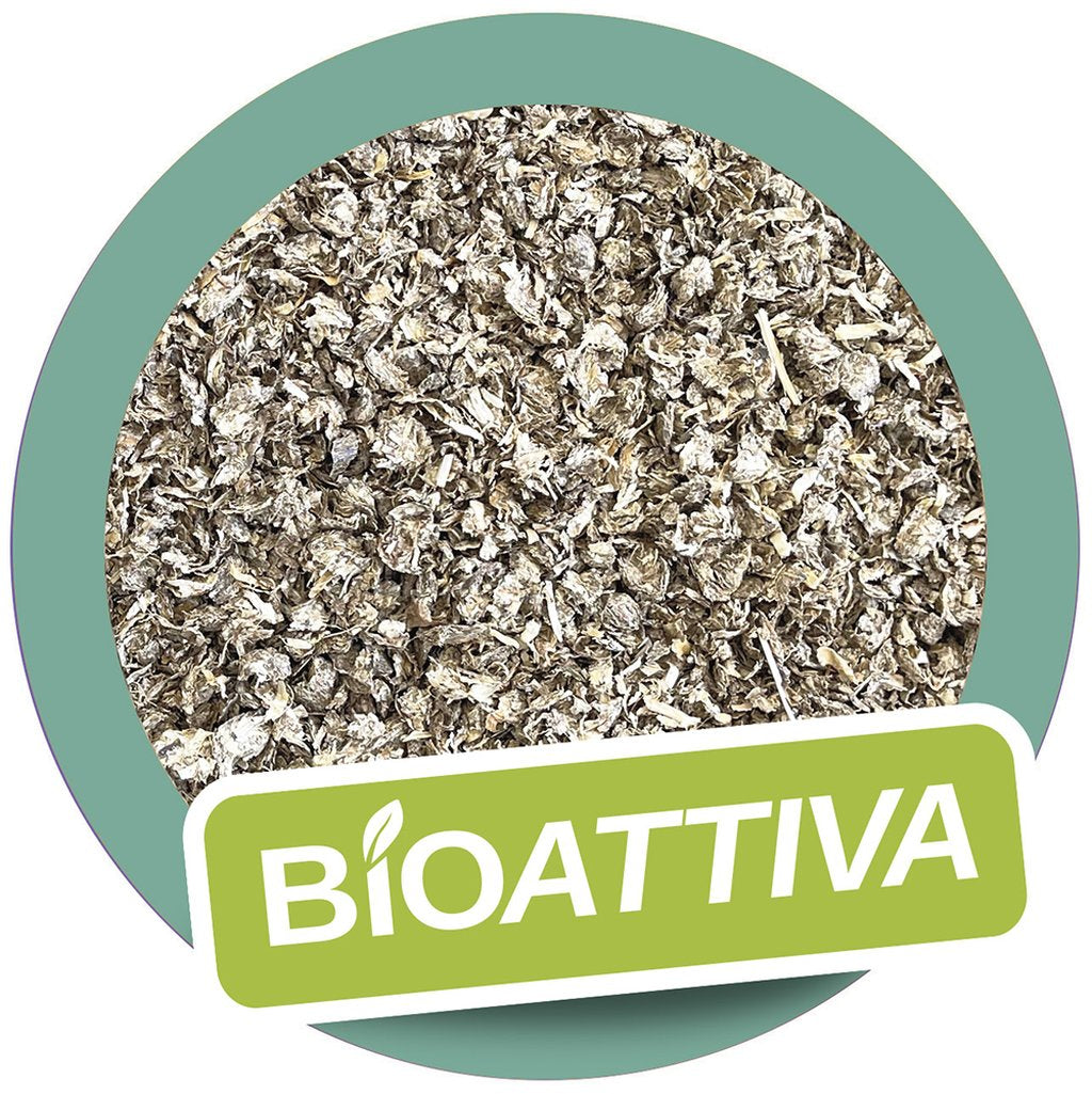 PAGLIANATURA Lettiera Gatto Bioattiva 2,4 kg/6 Lt - 100% Naturale, Compostabile