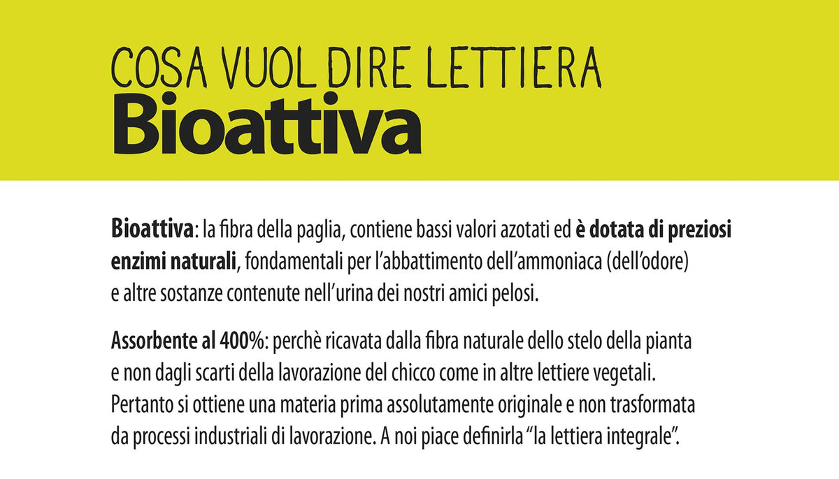 PAGLIANATURA Lettiera Gatto Bioattiva Lavanda 2 4 KG/6 LT Naturale Originale