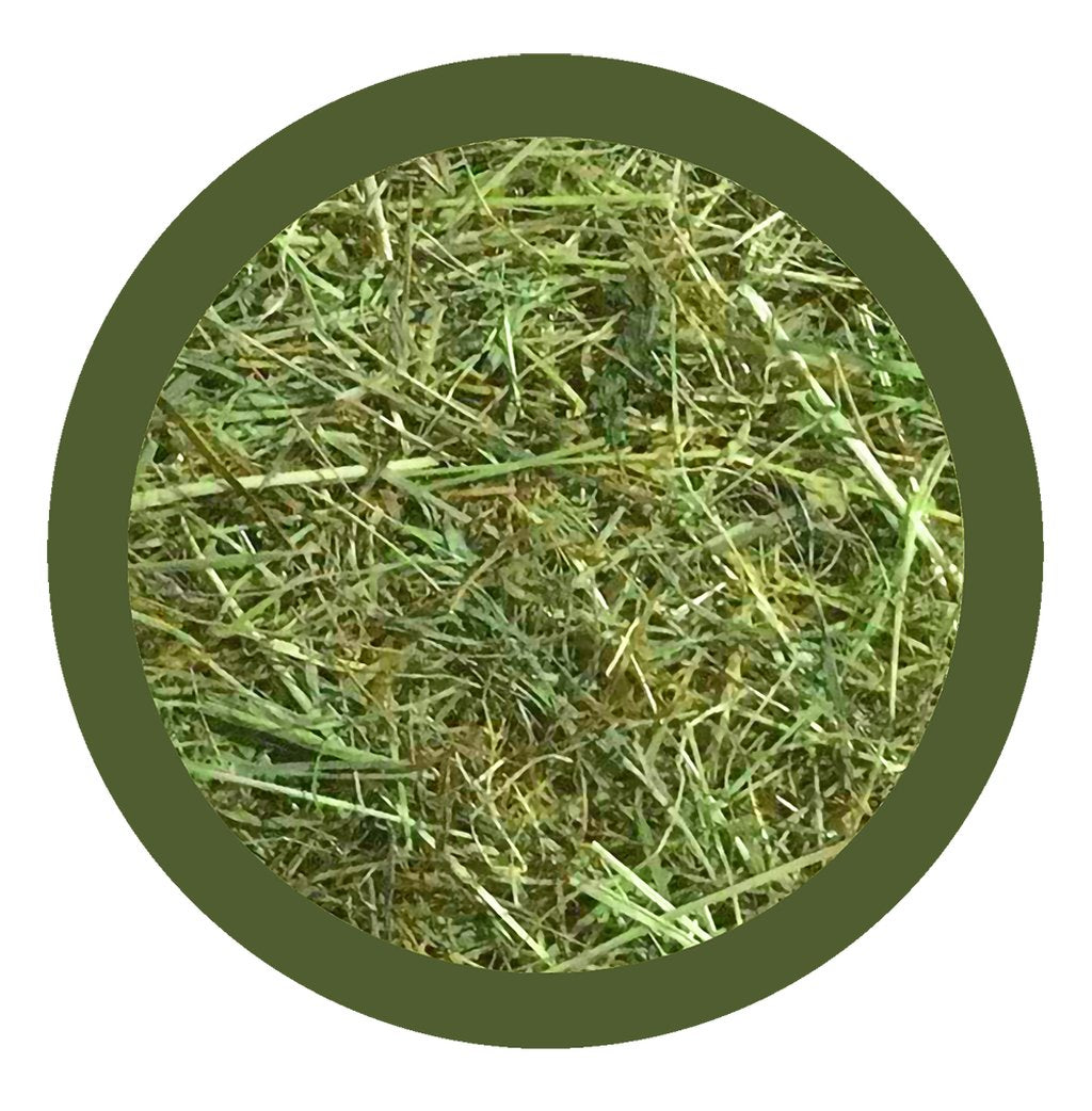PAGLIANATURA Dispenser Fieno Montagna 600g  Fieno Naturale per Roditori