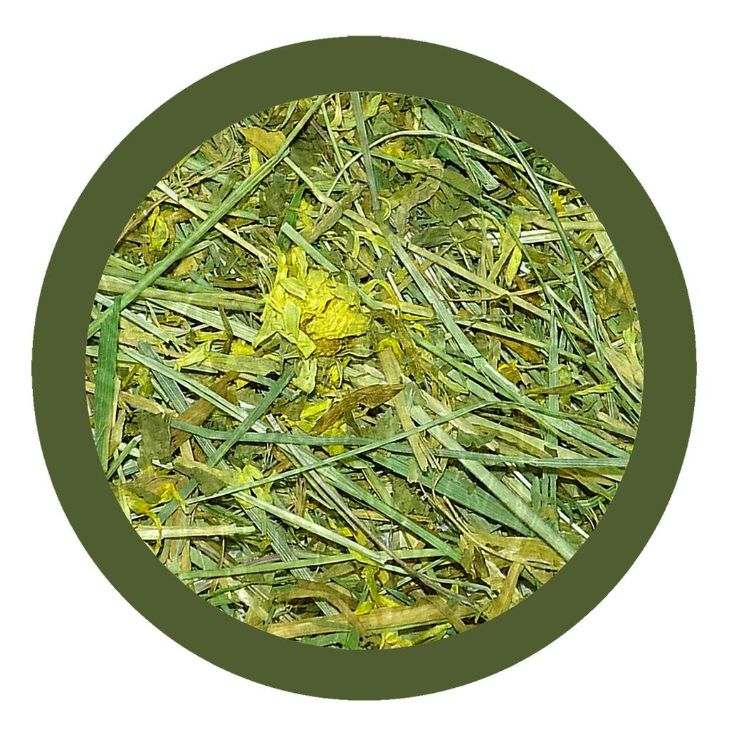 Dispenser di Fieno di Montagna con Tarassaco Naturale  Mangime Complementare per Conigli, Roditori e Piccoli Animali  100% Naturale e Ricco di Fibre