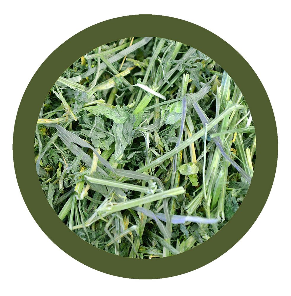 Paglianatura Dispenser Fieno Montagna 600gr con Alfalfa  Porta Fieno per Piccoli Animali  Facile da Usare e Pulire