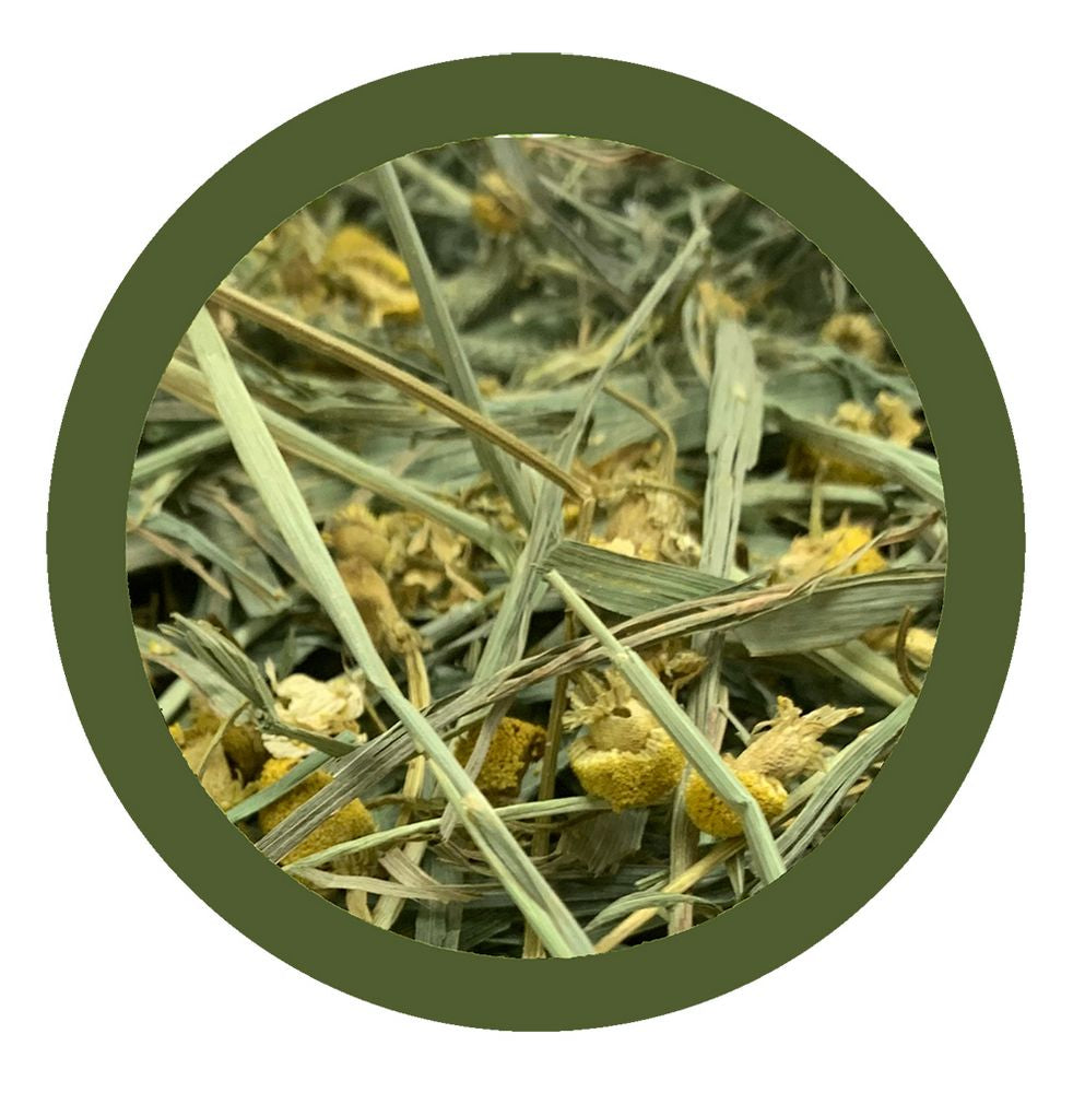 Dispenser Fieno di Montagna 600gr con Camomilla - Mangime Naturale per Conigli e Roditori, con Dosatore Pratico e Aromaterapia