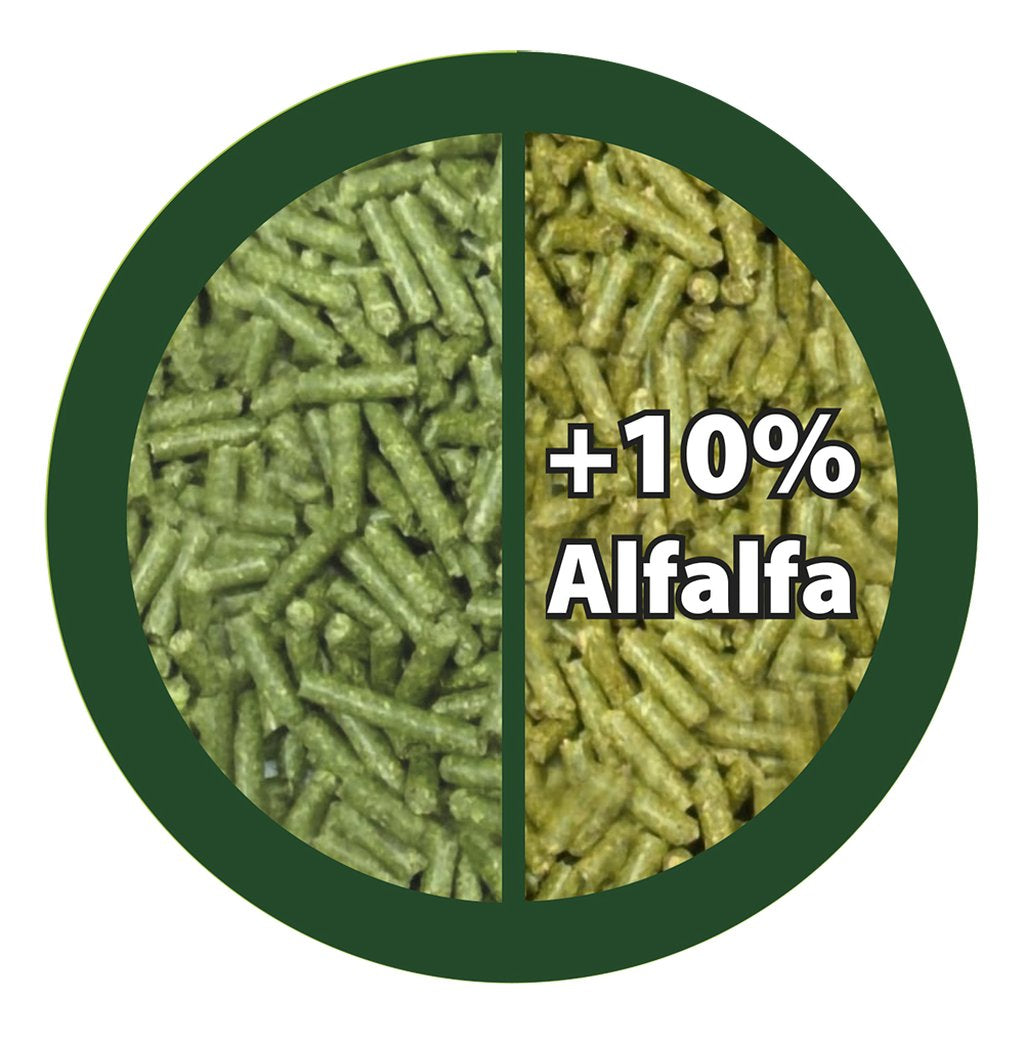 PAGLIANATURA Fieno Pellet 3kg con 10% Alfalfa - Mangime Naturale e Ricco