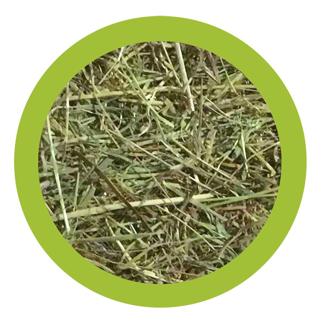PAGLIANATURA Fieno Naturale per Conigli e Roditori 1 3kg una Dieta Sana