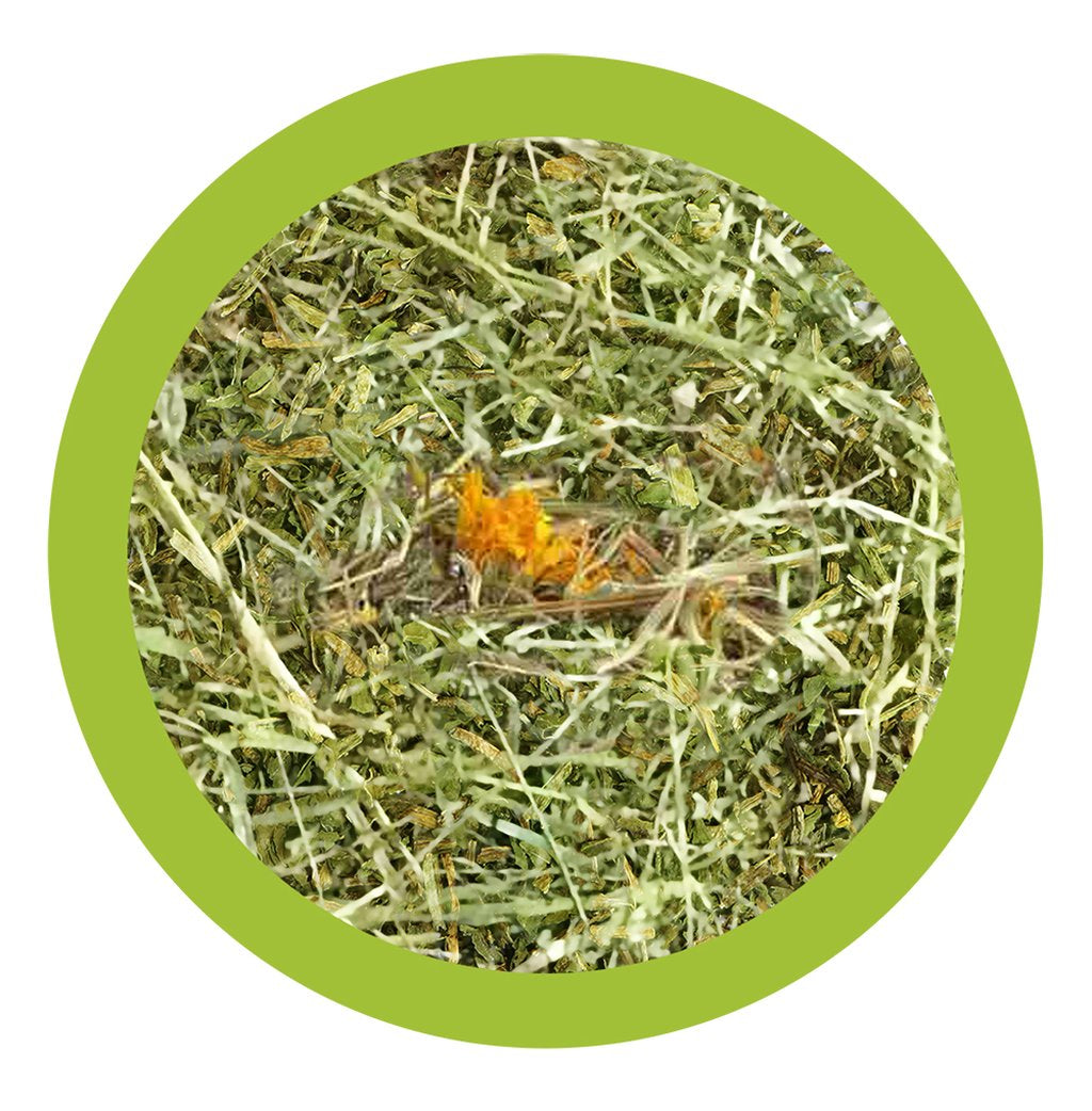 PAGLIANATURA Fieno Naturale con Tarassaco 1300g - Alimento Ricco di Fibre