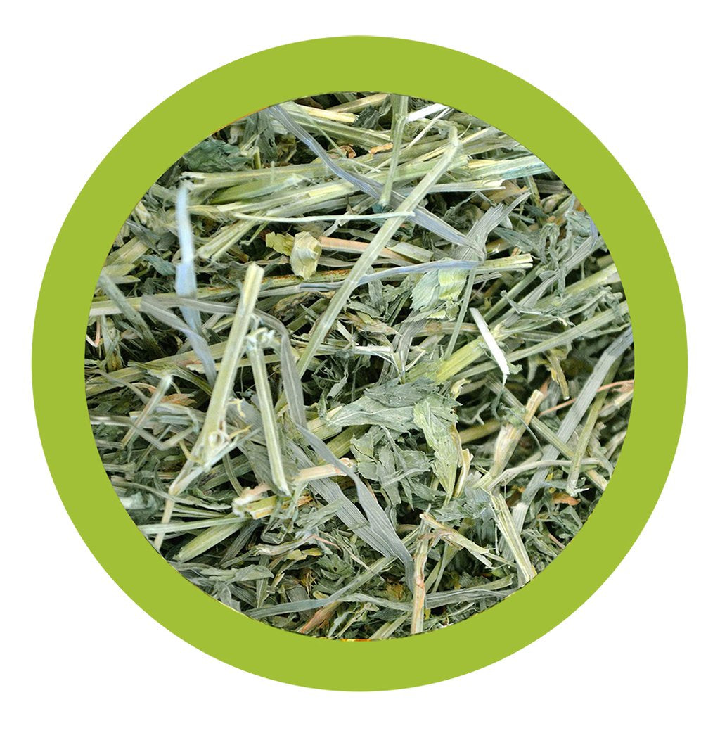PAGLIANATURA Fieno Naturale con Alfalfa 1300g Alimento Ricco di Fibre Originale