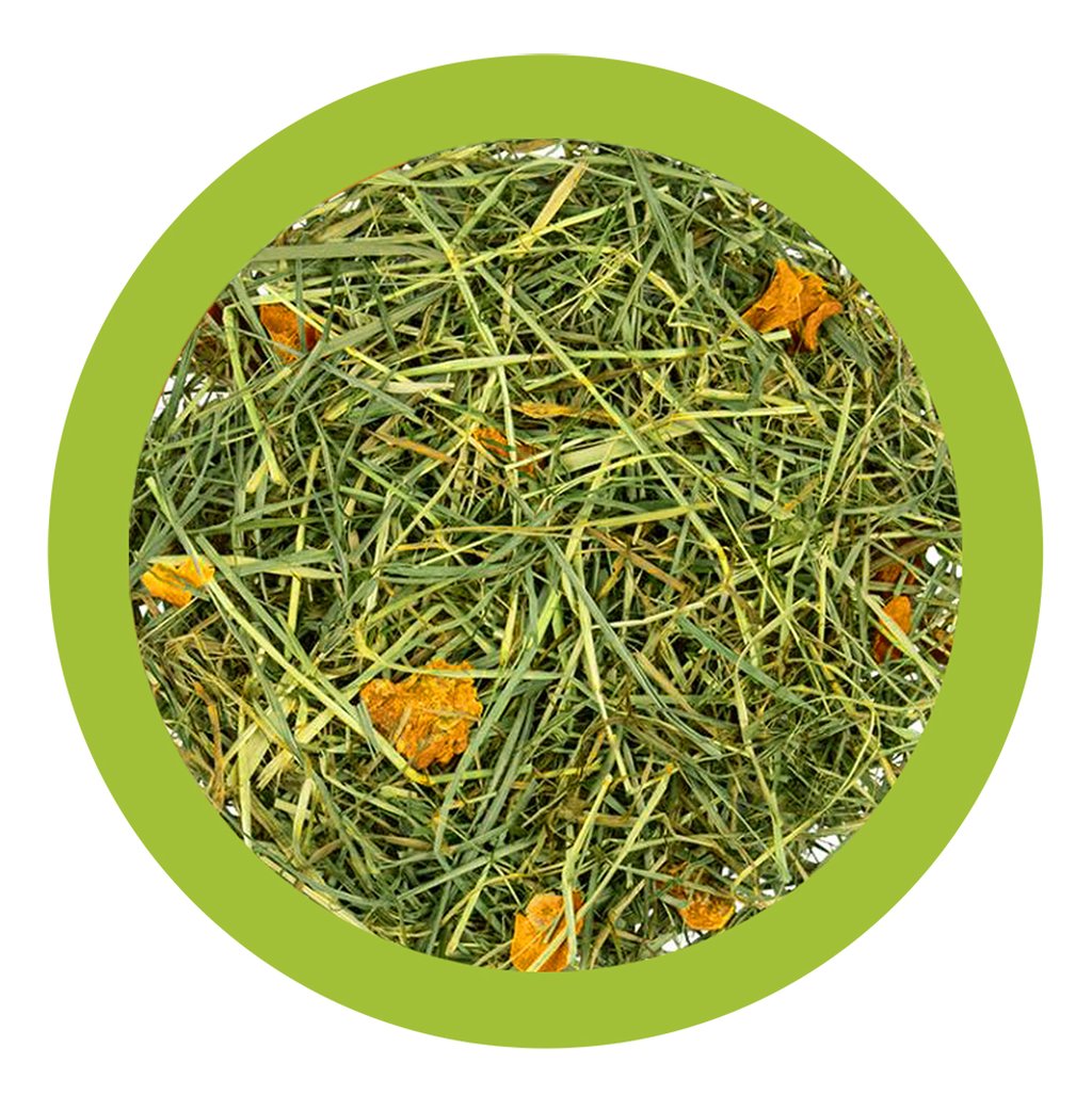 PAGLIANATURA Fieno Naturale con Carota 1300g Alimento Ricco di Fibre e Gusto