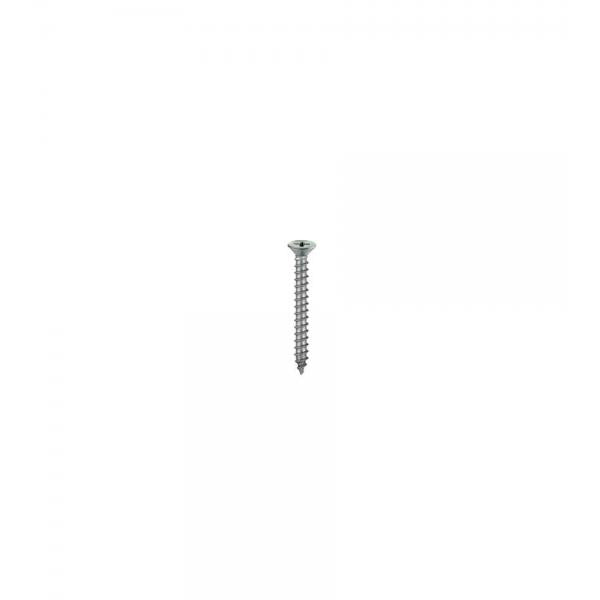 Viti autofilettanti testa piana svasata Inox 3,9 x 19 - 20 pz.