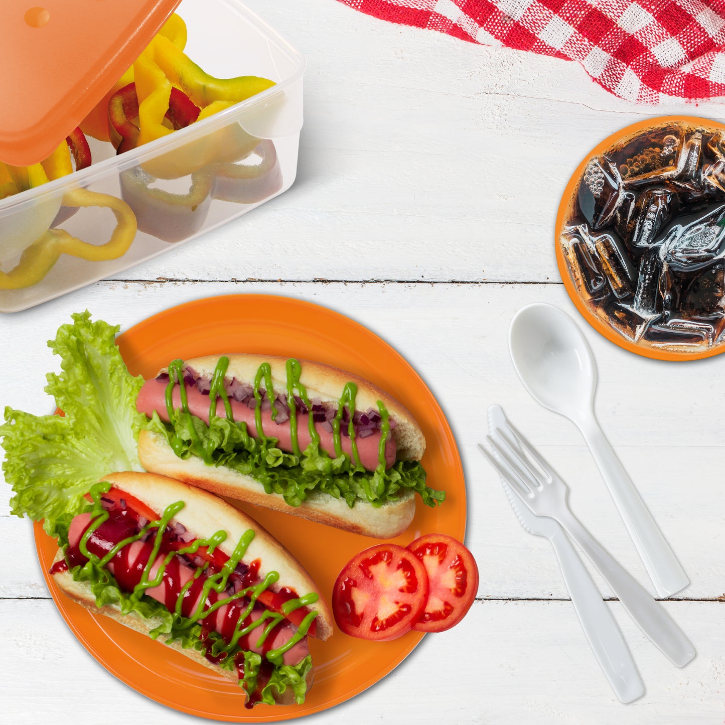 COSMOPLAST Set picnic stoviglie per 4 persone - 25 pezzi - riutilizzabile
