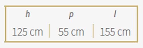 Garden Friend Transpallet Manuale Robustus 155x55x125 portata max. 2500 kg