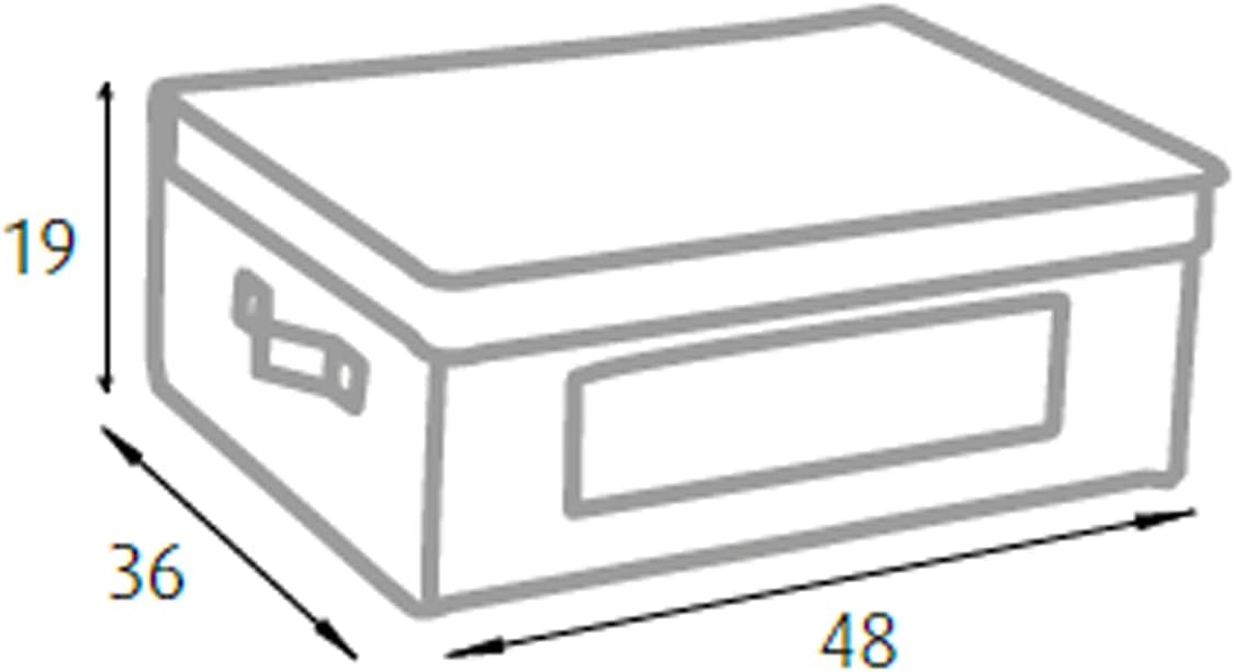 King Home SCATOLA KING BOX IN TNT PANNA 48x36x19h cm con maniglie laterali e finestrella trasparente
