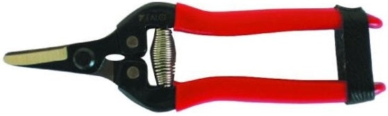FORBICI UVA-AGRUMI CM.16 L.CURVE 247G01716C BLS