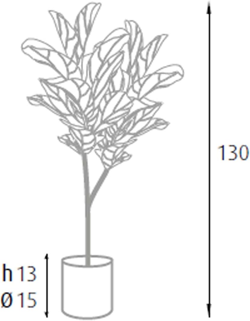 King Home pianta FICUS LYRATA H. 130 cm 60 FOGLIE completa di vaso con muschio