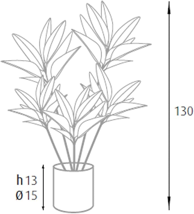 King Home pianta DRACAENA H. 130 cm 88 FOGLIE completa di vaso con muschio