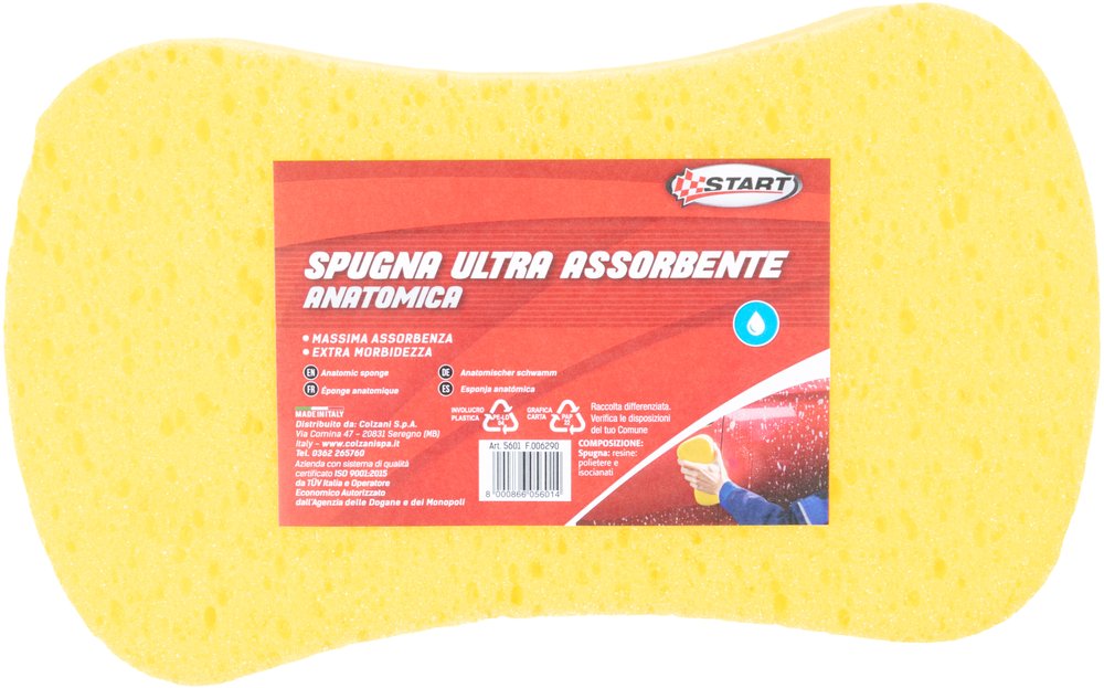 Spugna auto modello anatomico