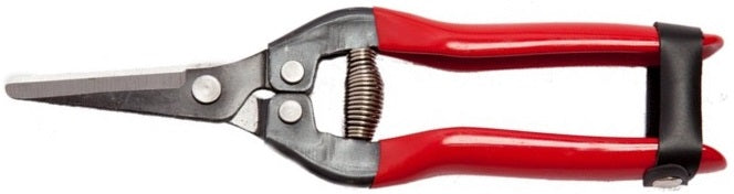 FORBICI UVA FALCI DIRITTE CM.19 ART.247G0619R BLS