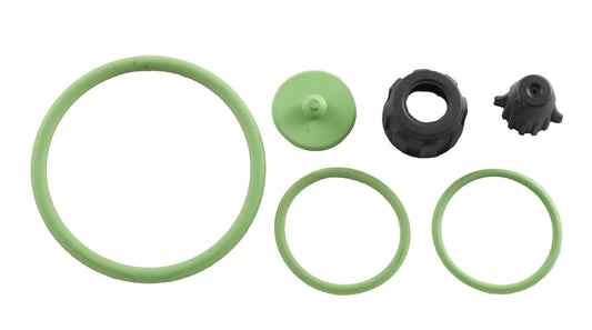 DAL DEGAN KIT GUARNIZIONI VITON PER POMPA ARES