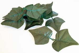 SIEPE ORNAMENTALE EDERA: RICAMBIO BUSTA20 FOGLIE
