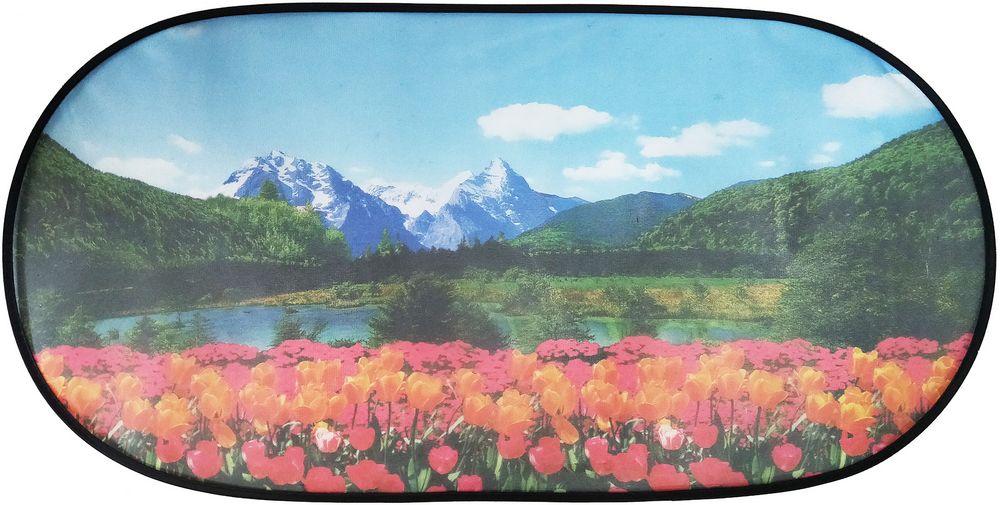 START Tendina Posteriore auto 50x100 cm richiudibile con grafica