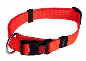 PET COLLARE NYLON CM.70 MM.25 COLORI ASSORTITI