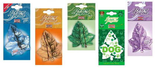 AREXONS FRESCA FOGLIA PROFUMATORE AUTO OCEAN