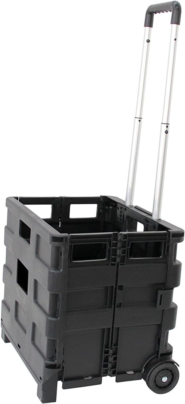 Garden Friend Carrello trasporto con cassa in plastica pieghevole portata max 25 kg