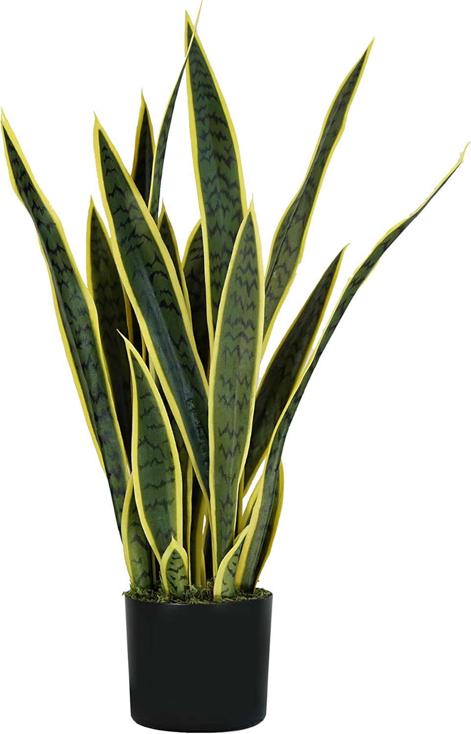 King Home pianta SANSEVIERIA H. 75 cm 21 FOGLIE completa di vaso con muschio