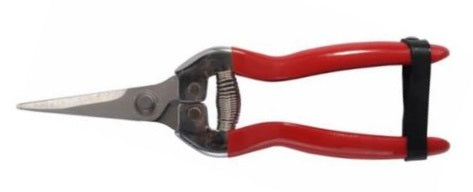 FORBICI UVA IL CAMPO LAME DIRITTE INOX CM.19