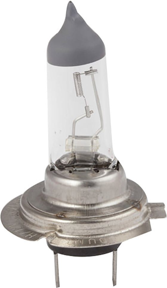 H7 Long Life Lampadina Singola per luci auto 12V 55W PX26d