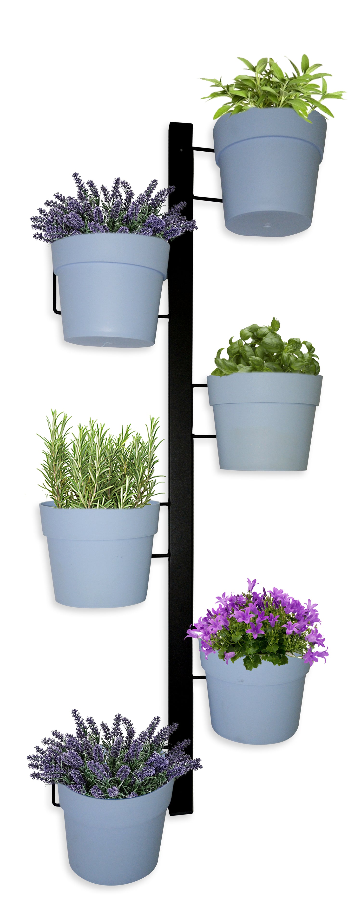 KIT FIORIERA A PARETE IRIS C/6 VASI CIRC. ART.631 IRIS