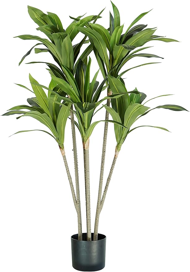 King Home pianta DRACAENA H. 130 cm 88 FOGLIE completa di vaso con muschio