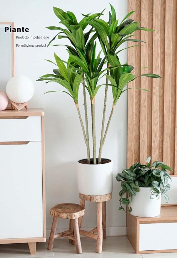 King Home pianta DRACAENA H. 130 cm 88 FOGLIE completa di vaso con muschio